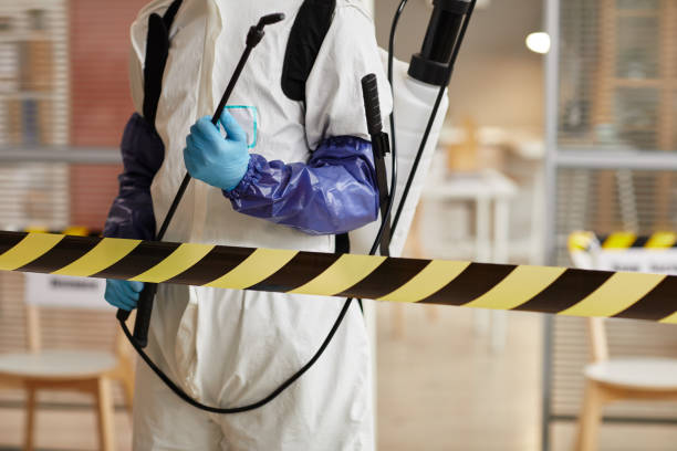 Professional Sewage Cleanup technician working in Whitefield, NH